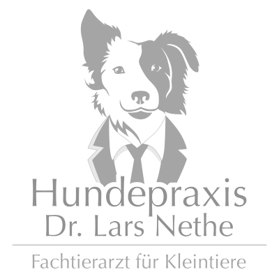 Hundepraxis Hamm - Logo