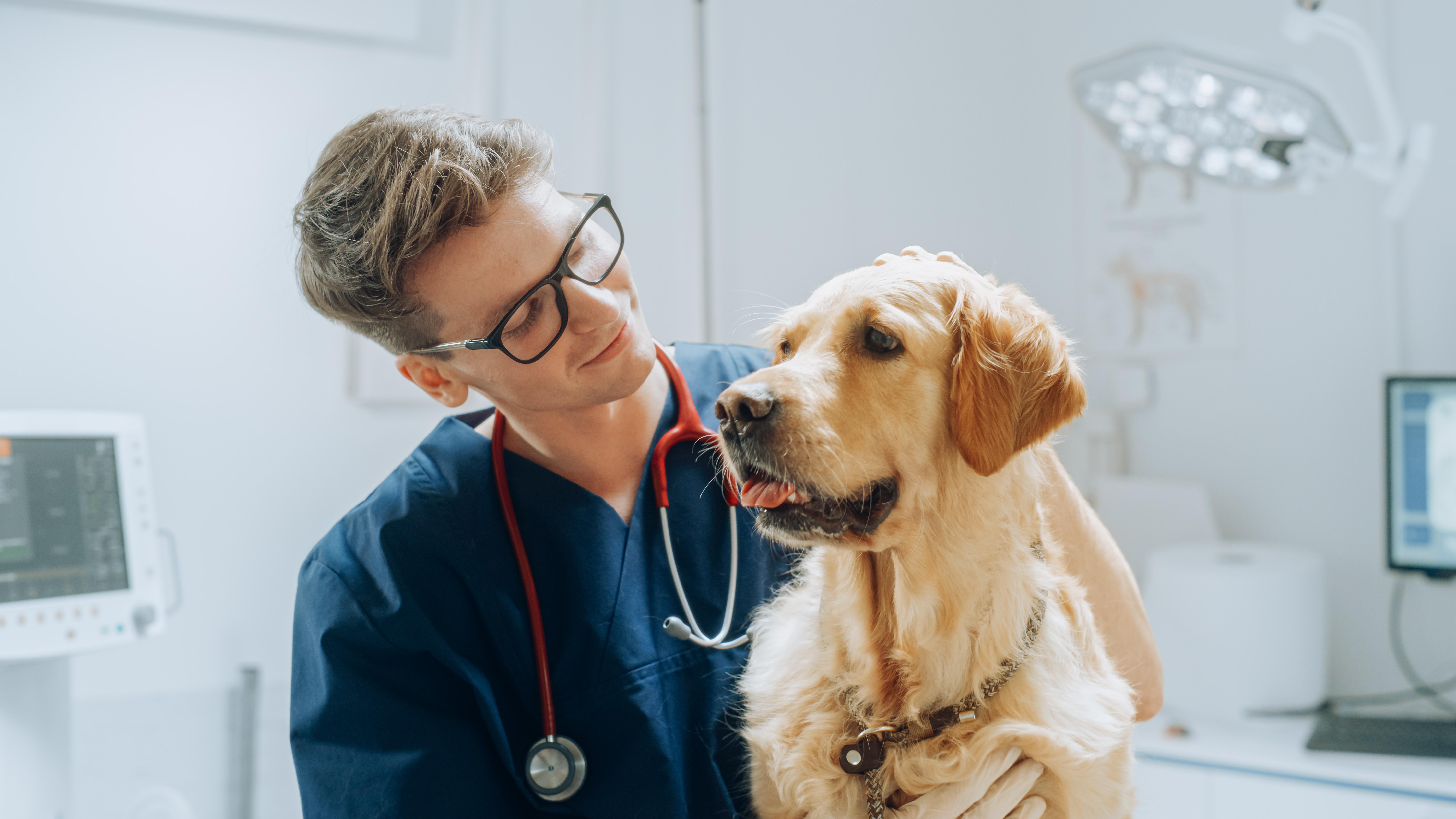 Hundepraxis Hamm - unsere Vision